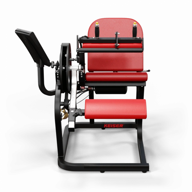 A250 Seated Leg Curl