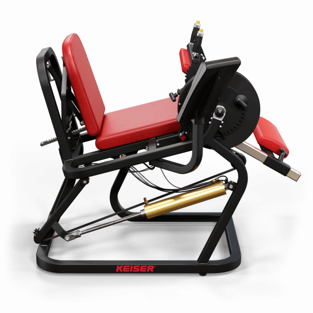 A250 Seated Leg Curl