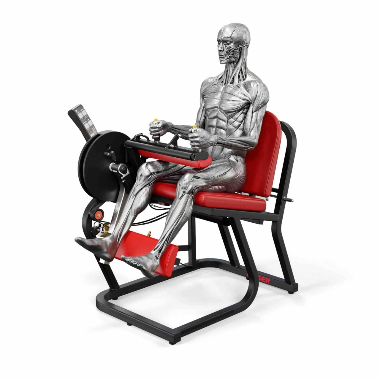 A250 Seated Leg Curl
