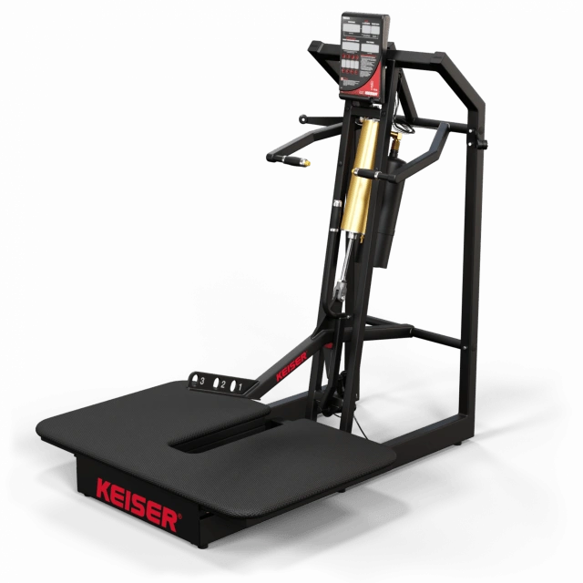 A300 Belt Squat