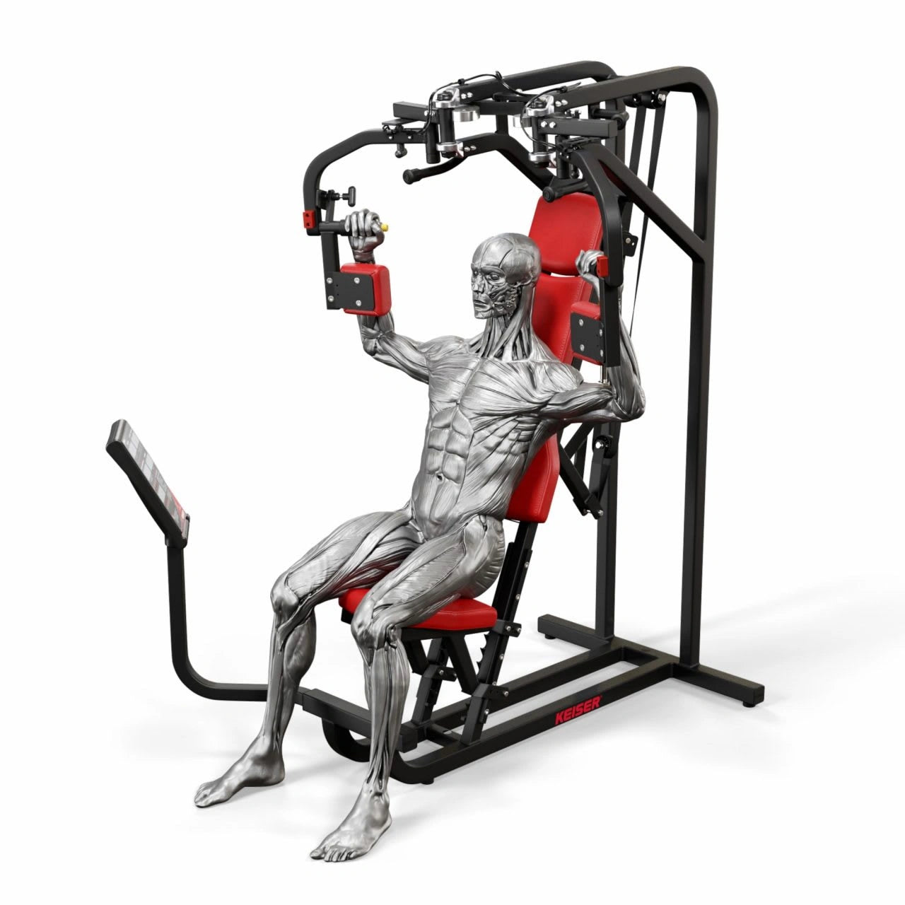 A350 Seated Butterfly