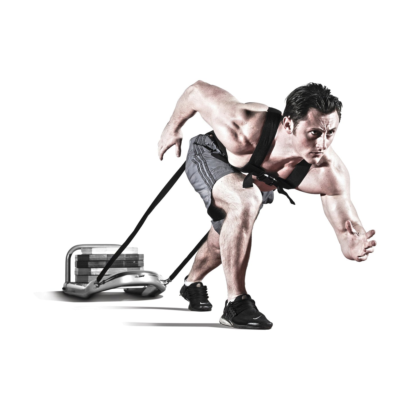 JORDAN Performance Sled and Harness