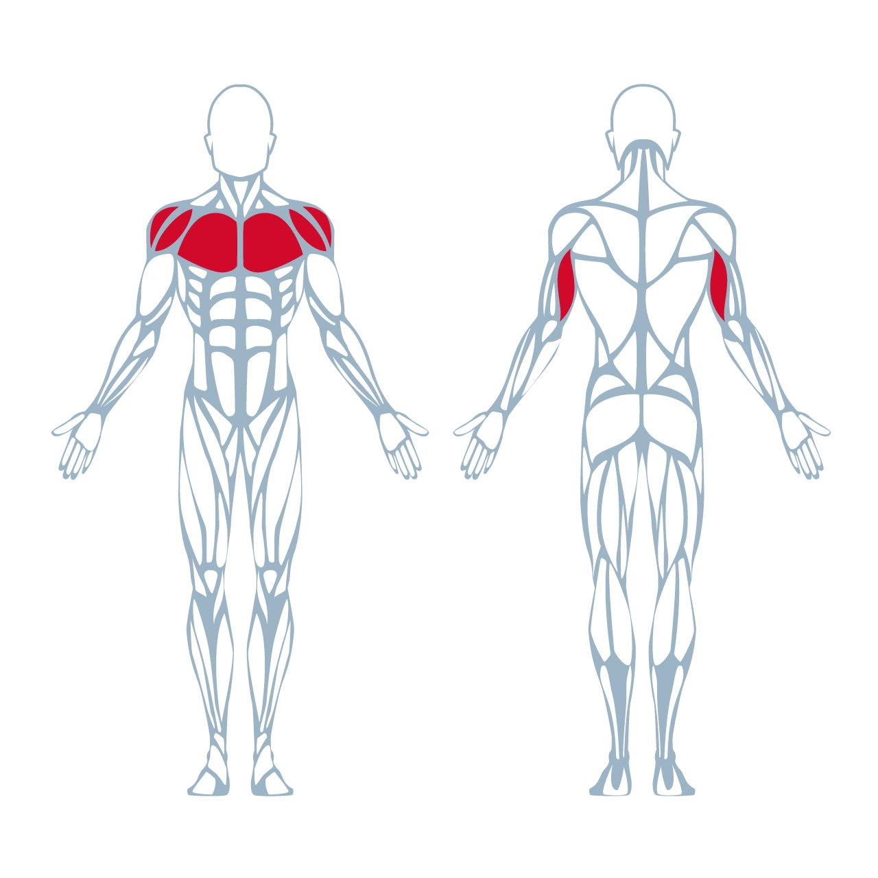 A300 Chest Press Pro