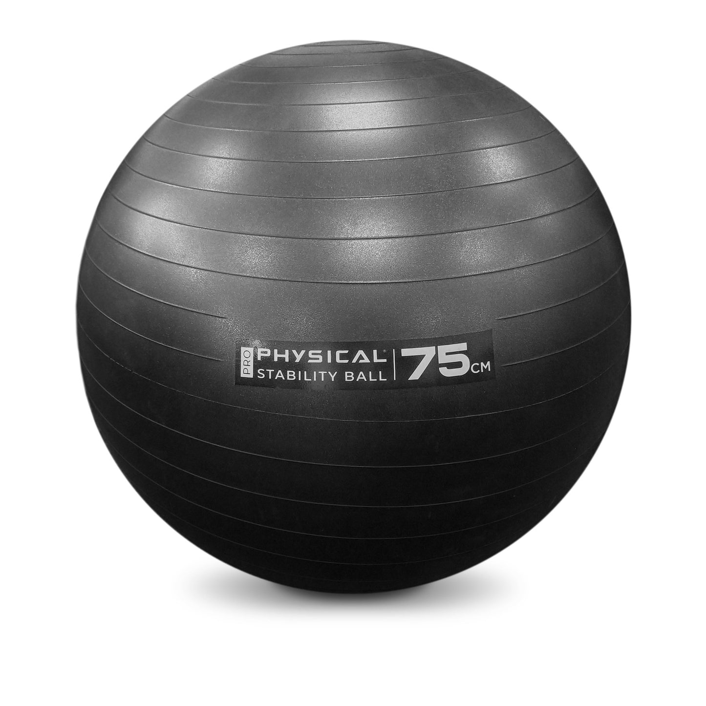 Pro Stability Balls NEW