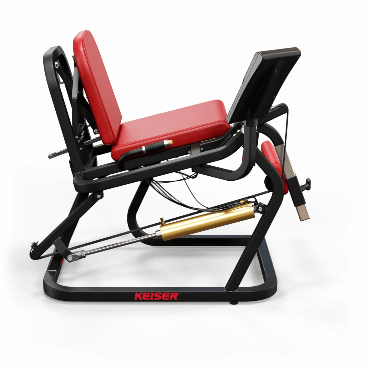 A250 Leg Extension