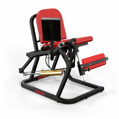 A250 Leg Extension