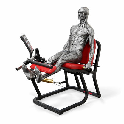 A250 Leg Extension