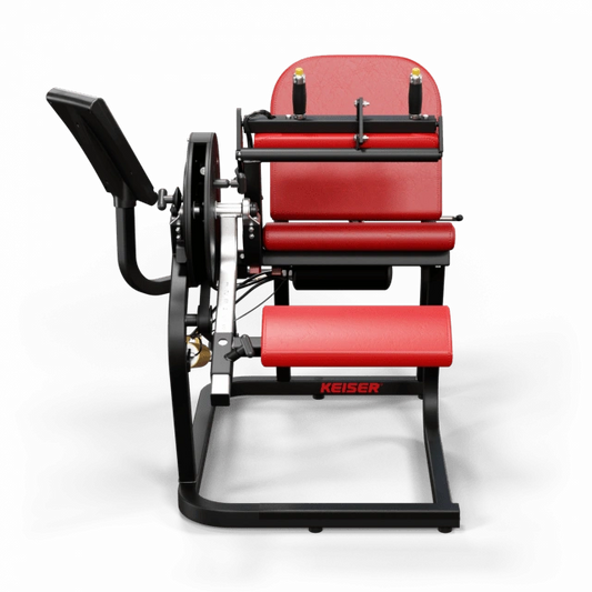 A250 Seated Leg Curl