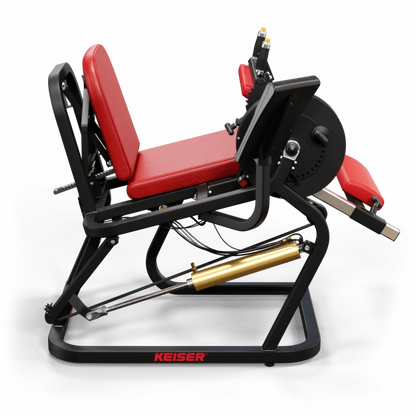 A250 Seated Leg Curl