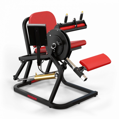 A250 Seated Leg Curl