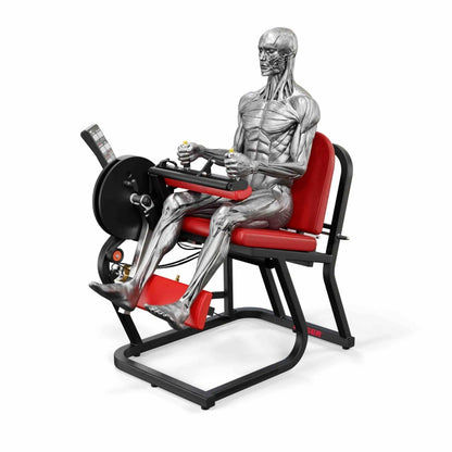 A250 Seated Leg Curl
