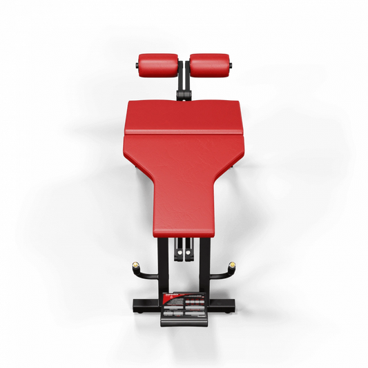A300 Leg Curl Pro