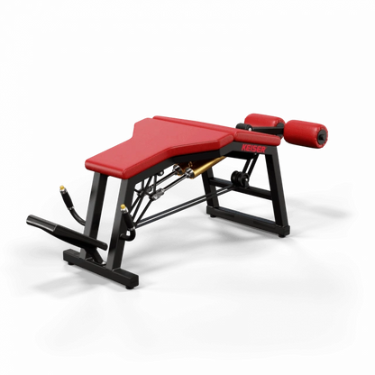 A300 Leg Curl Pro