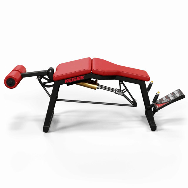 A300 Leg Curl Pro