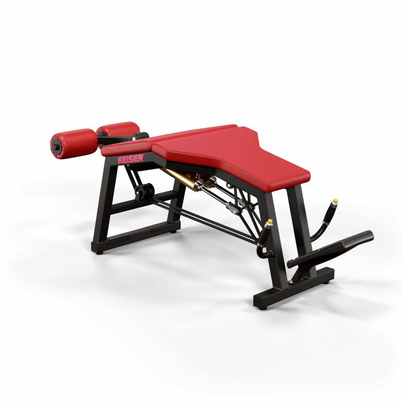 A300 Leg Curl Pro