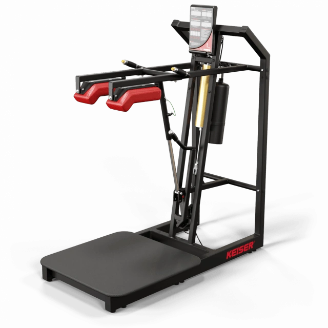 A300 Squat Pro