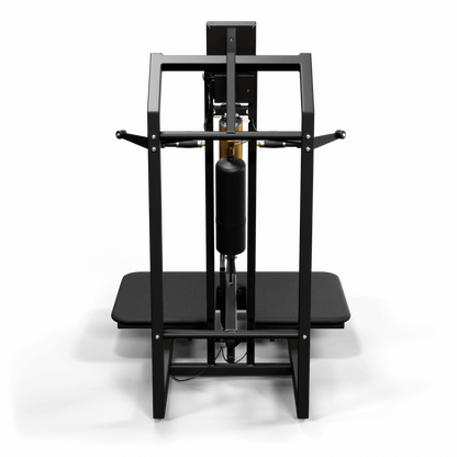 A300 Belt Squat