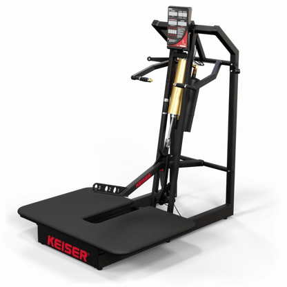 A300 Belt Squat