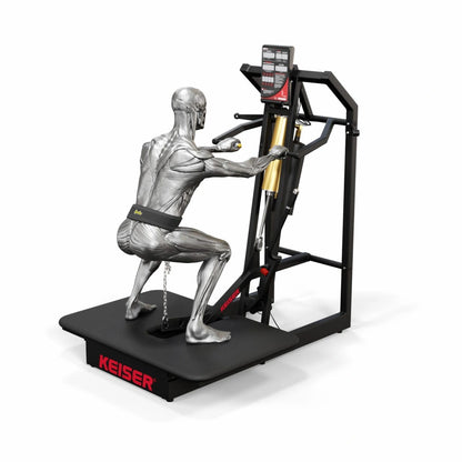 A300 Belt Squat
