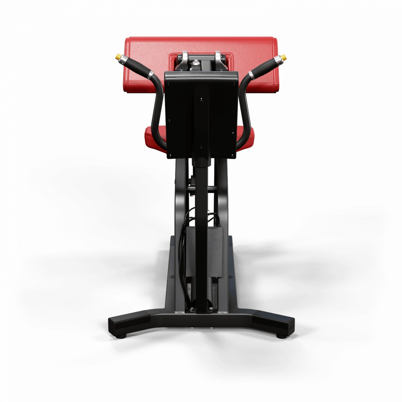 A250 Arm Curl