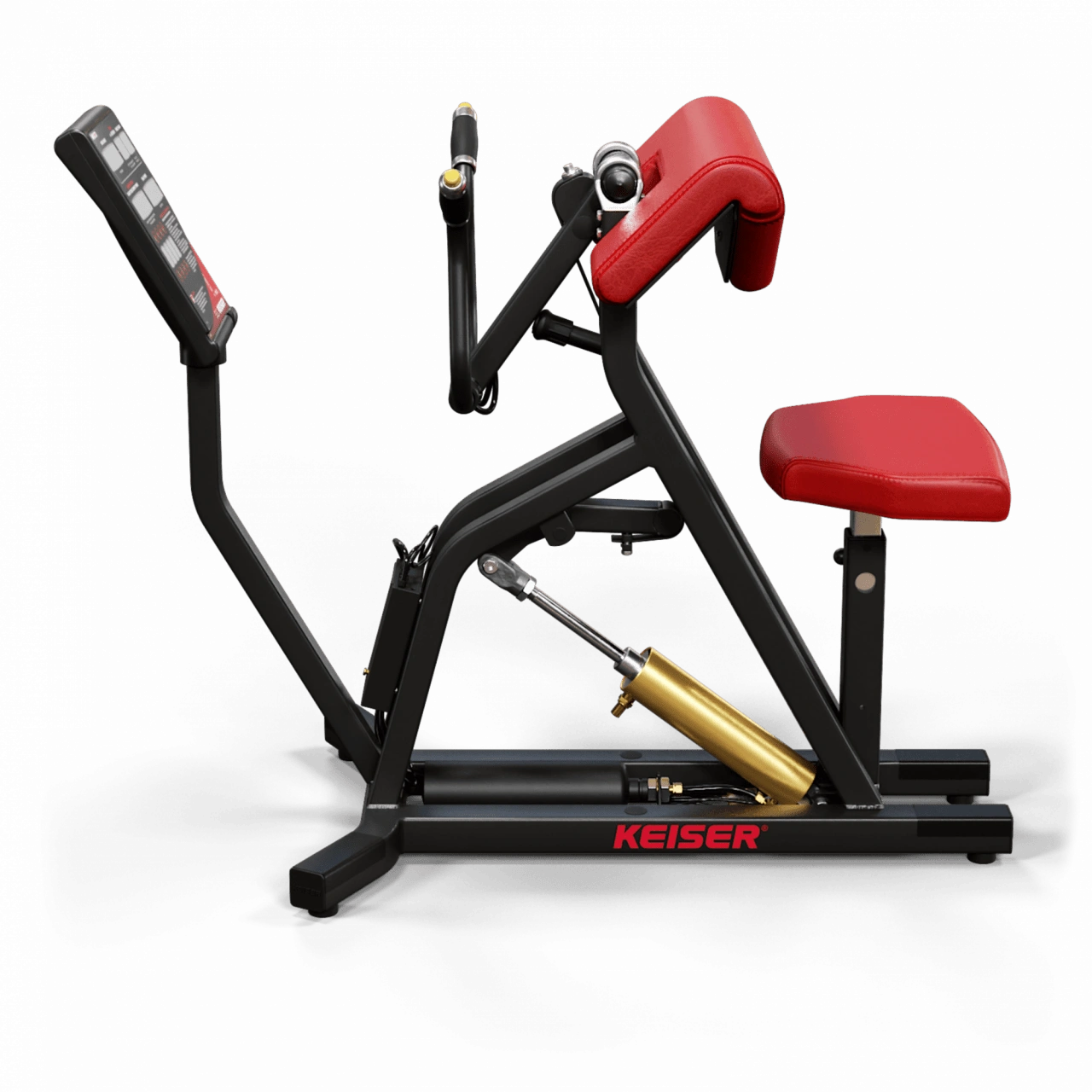 A250 Arm Curl