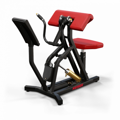 A250 Arm Curl