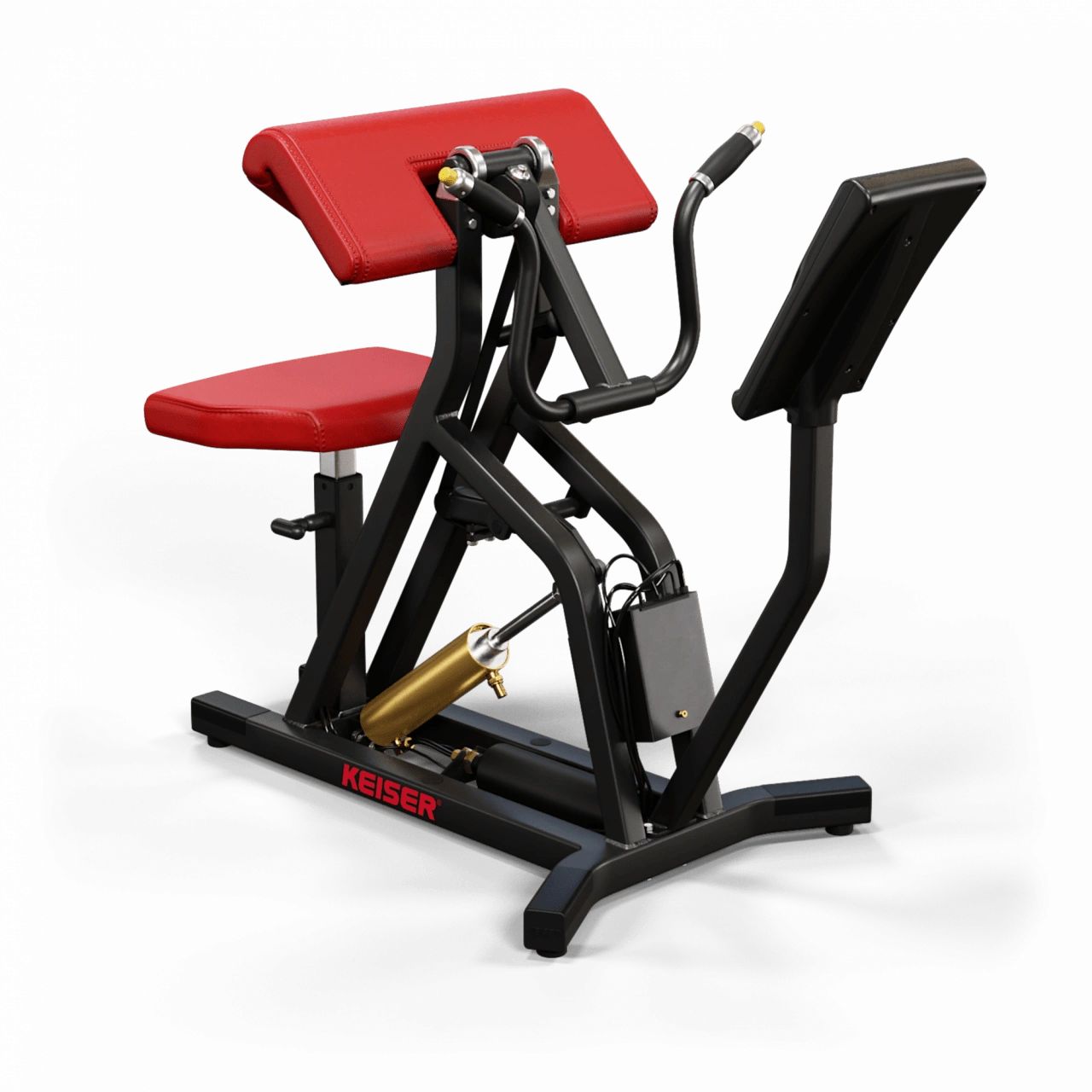 A250 Arm Curl