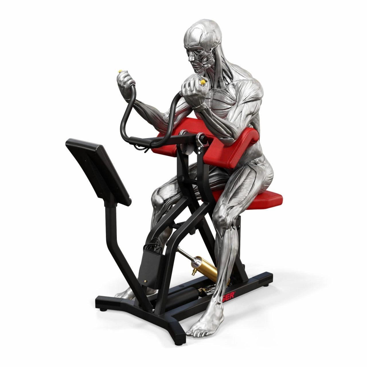 A250 Arm Curl