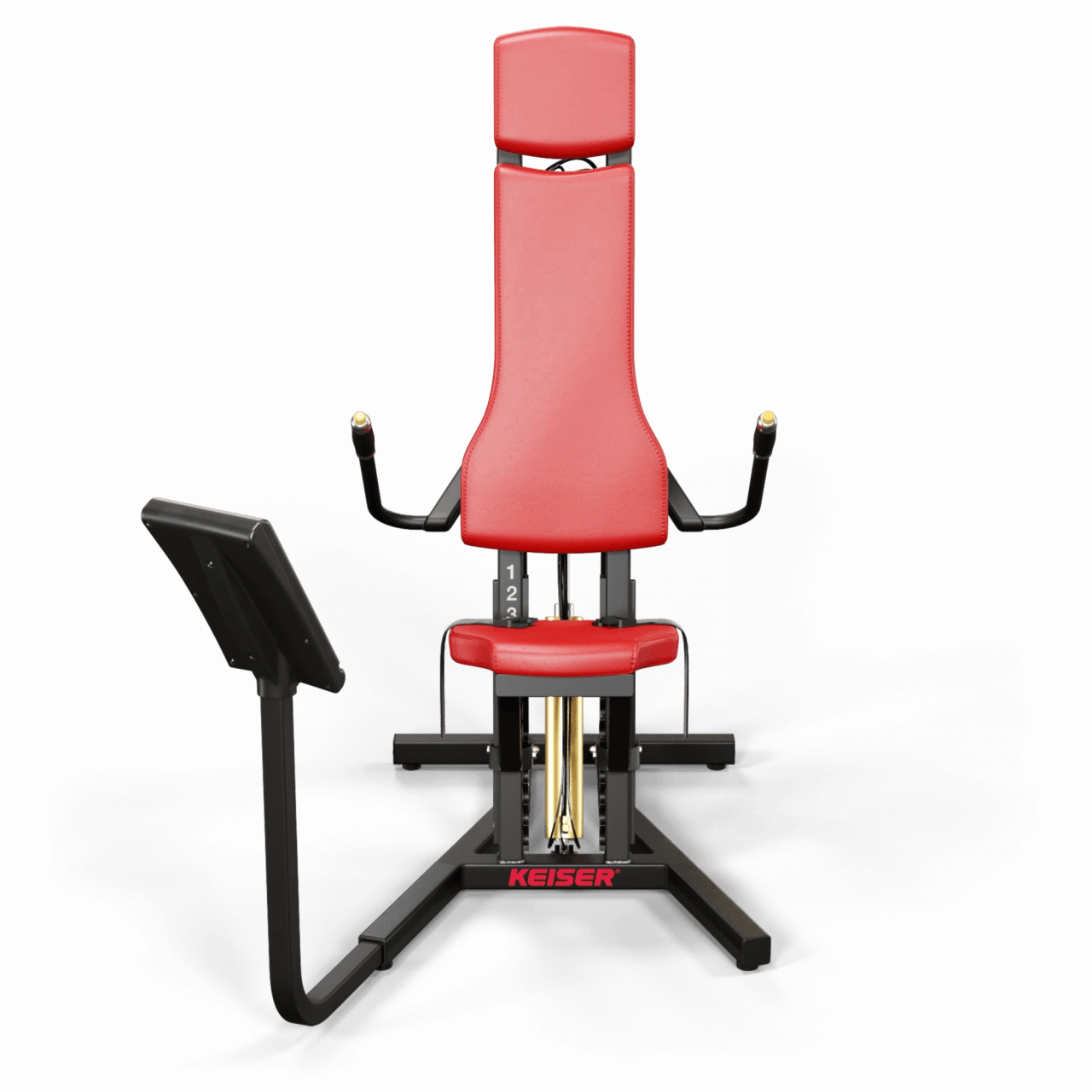 A250 Triceps