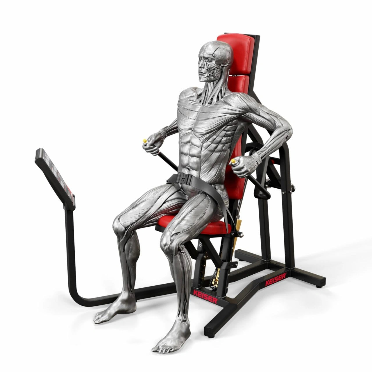 A250 Triceps