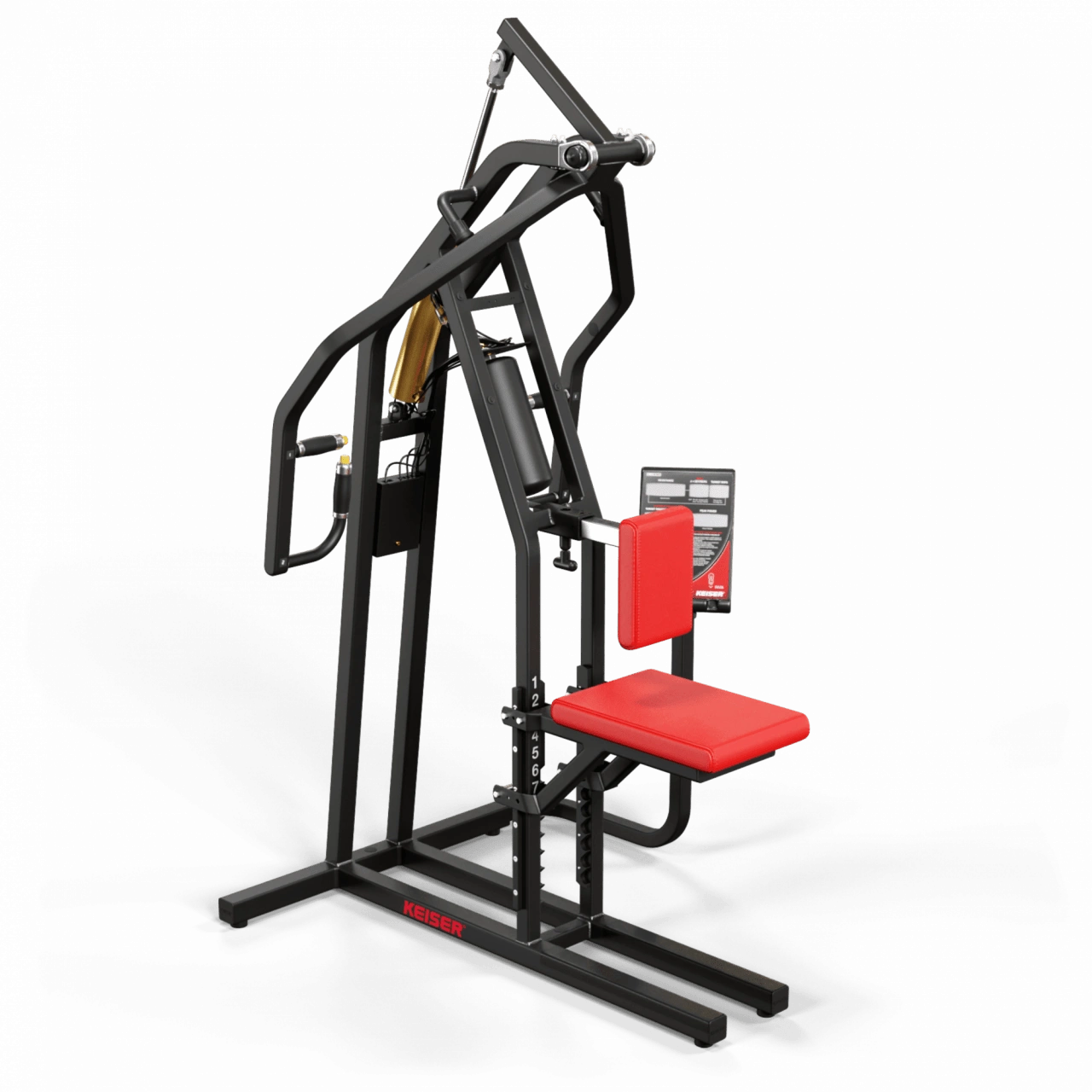 A250 Upper Back