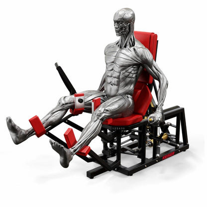 A300 Hip Adductor