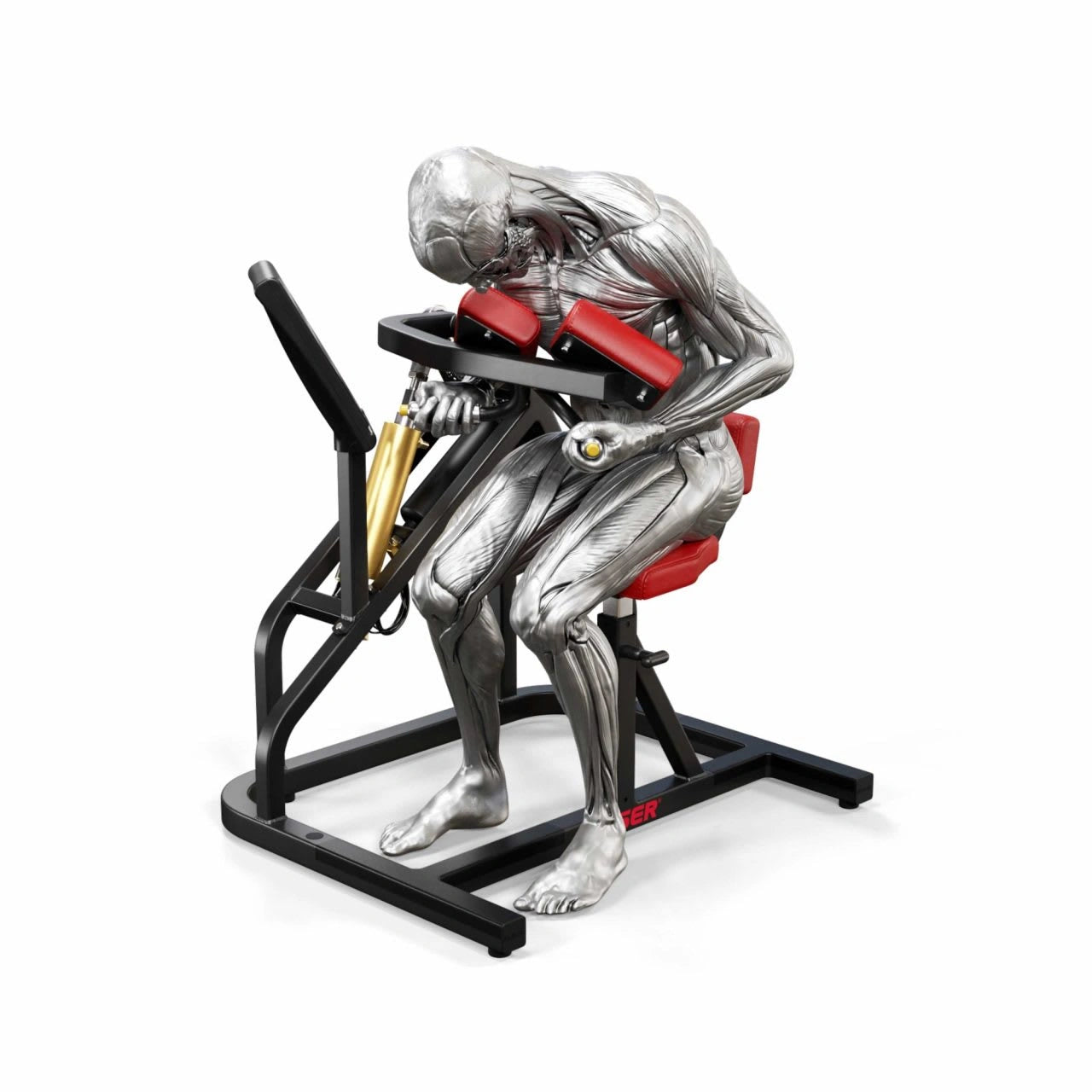 A250 Abdominal