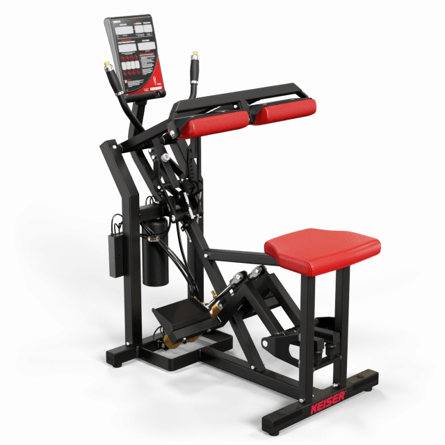 300 Seated Calf