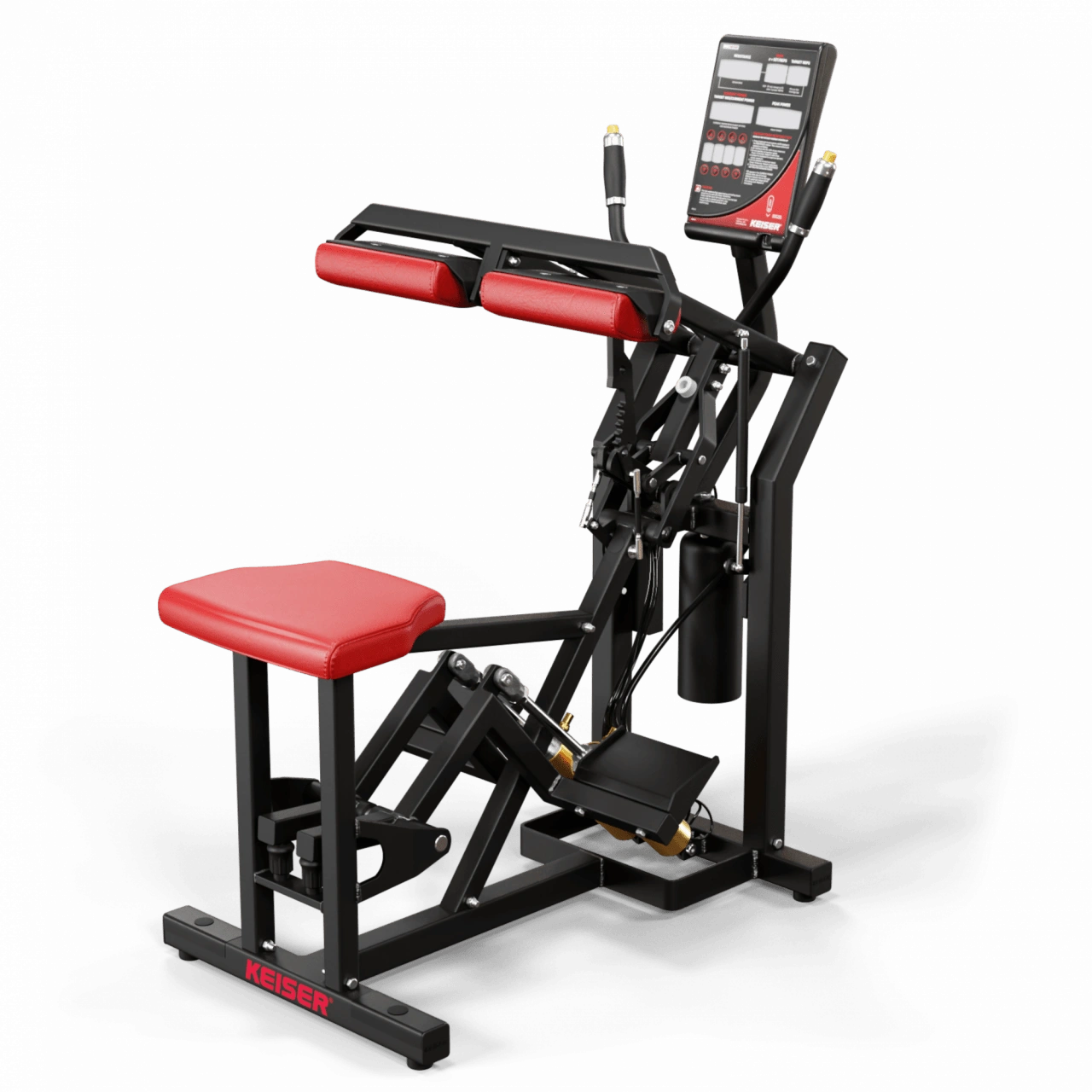 300 Seated Calf