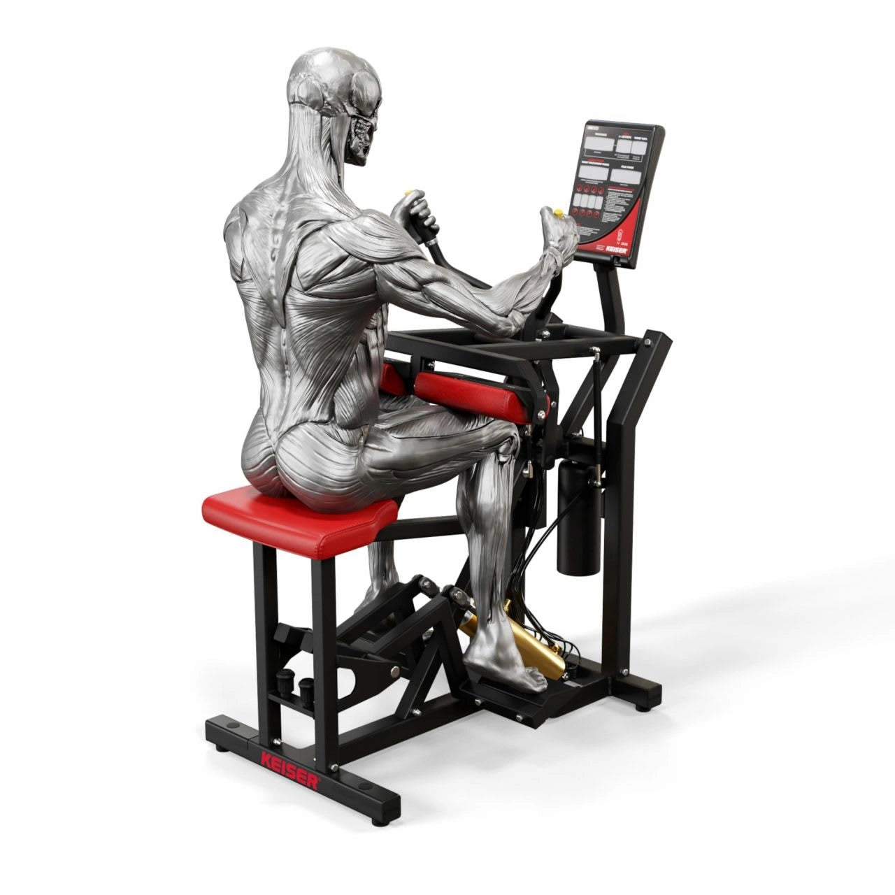 300 Seated Calf