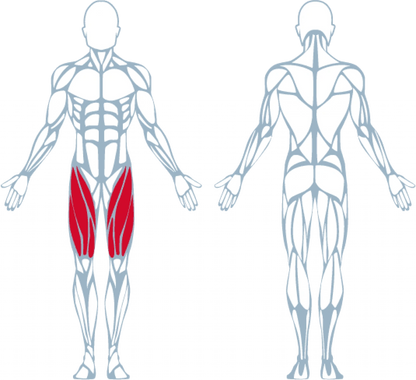 A300 Leg Extension Pro