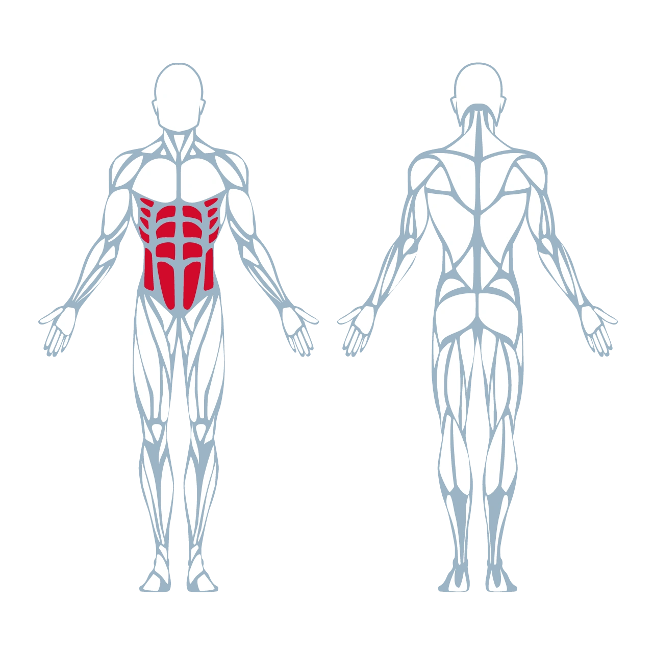 A250 Abdominal
