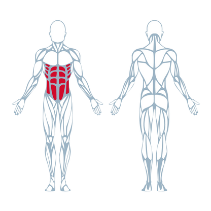 A250 Abdominal