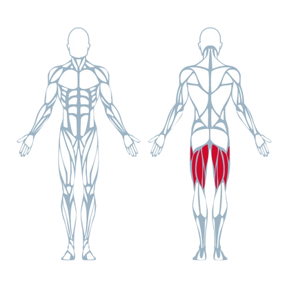 A250 Seated Leg Curl