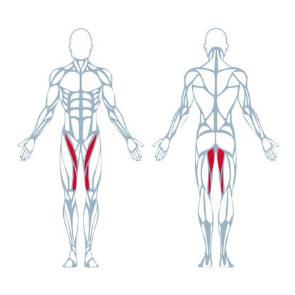 A300 Hip Adductor