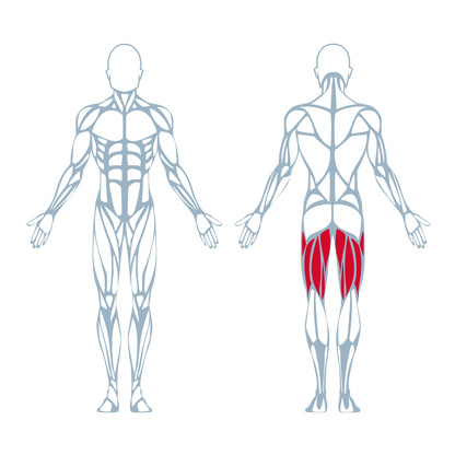 A300 Leg Curl Pro