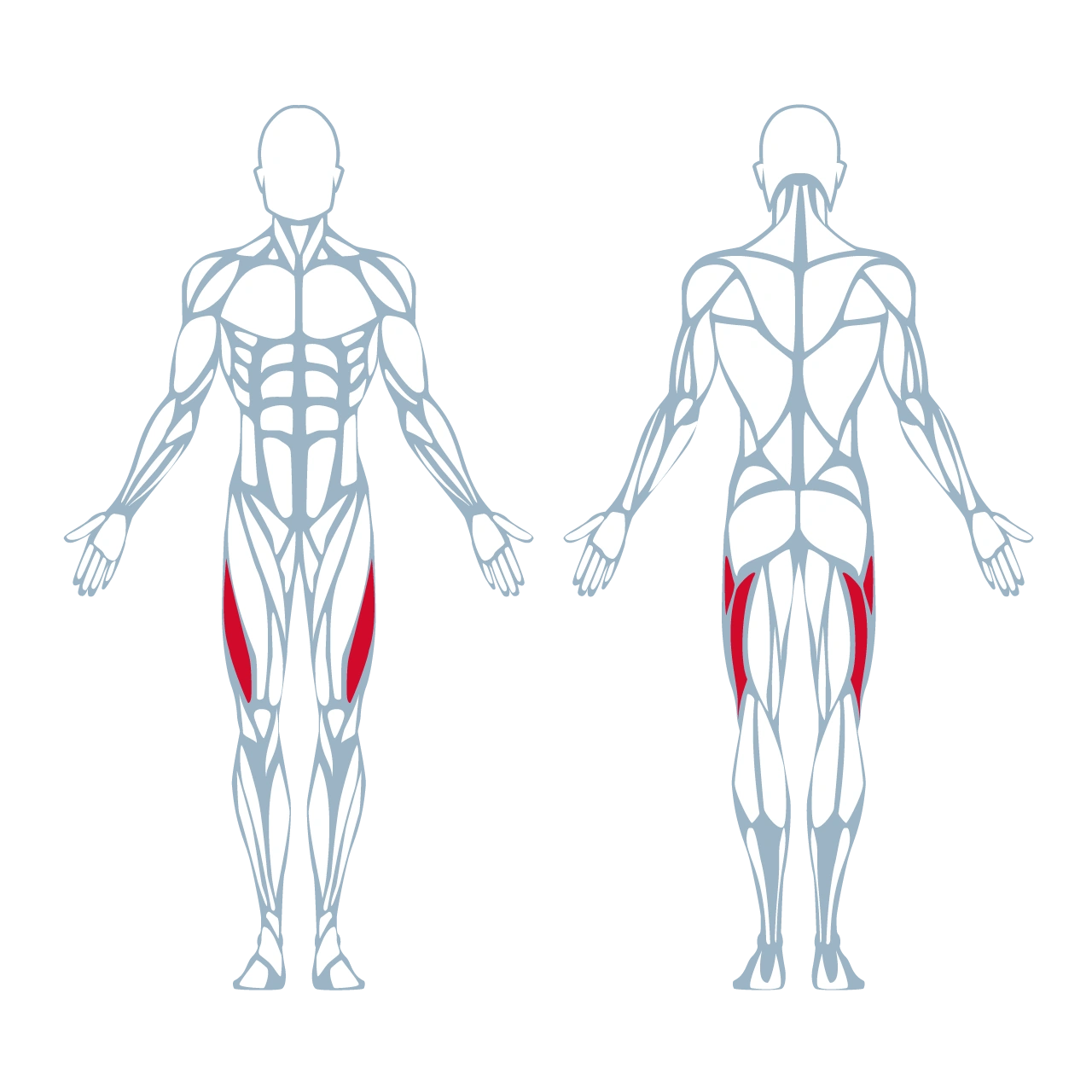 A300 Hip Abductor