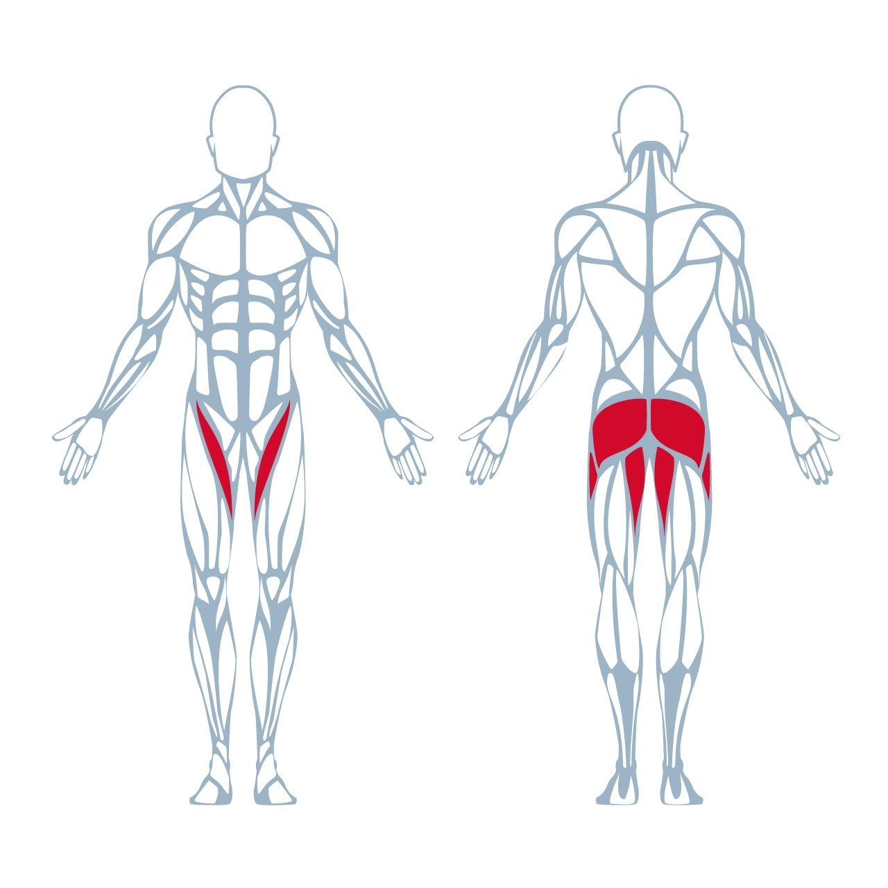A250 Standing Hip